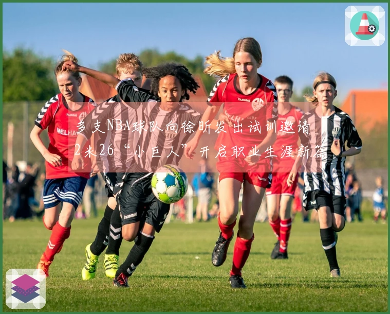 多支NBA球队向徐昕发出试训邀请 2米26“小巨人”开启职业生涯新篇章